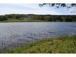 Joe's Pond