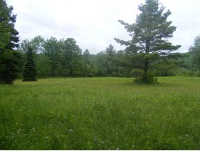 Miles Pond