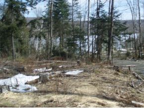 Seymour Lake