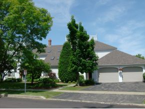 Burlington Animal Friendly Condos