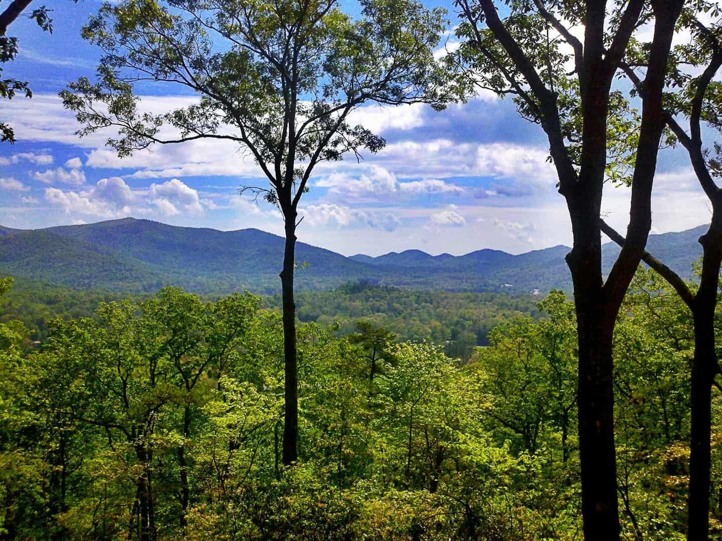 Ridge at Black Mountain Estates Lots