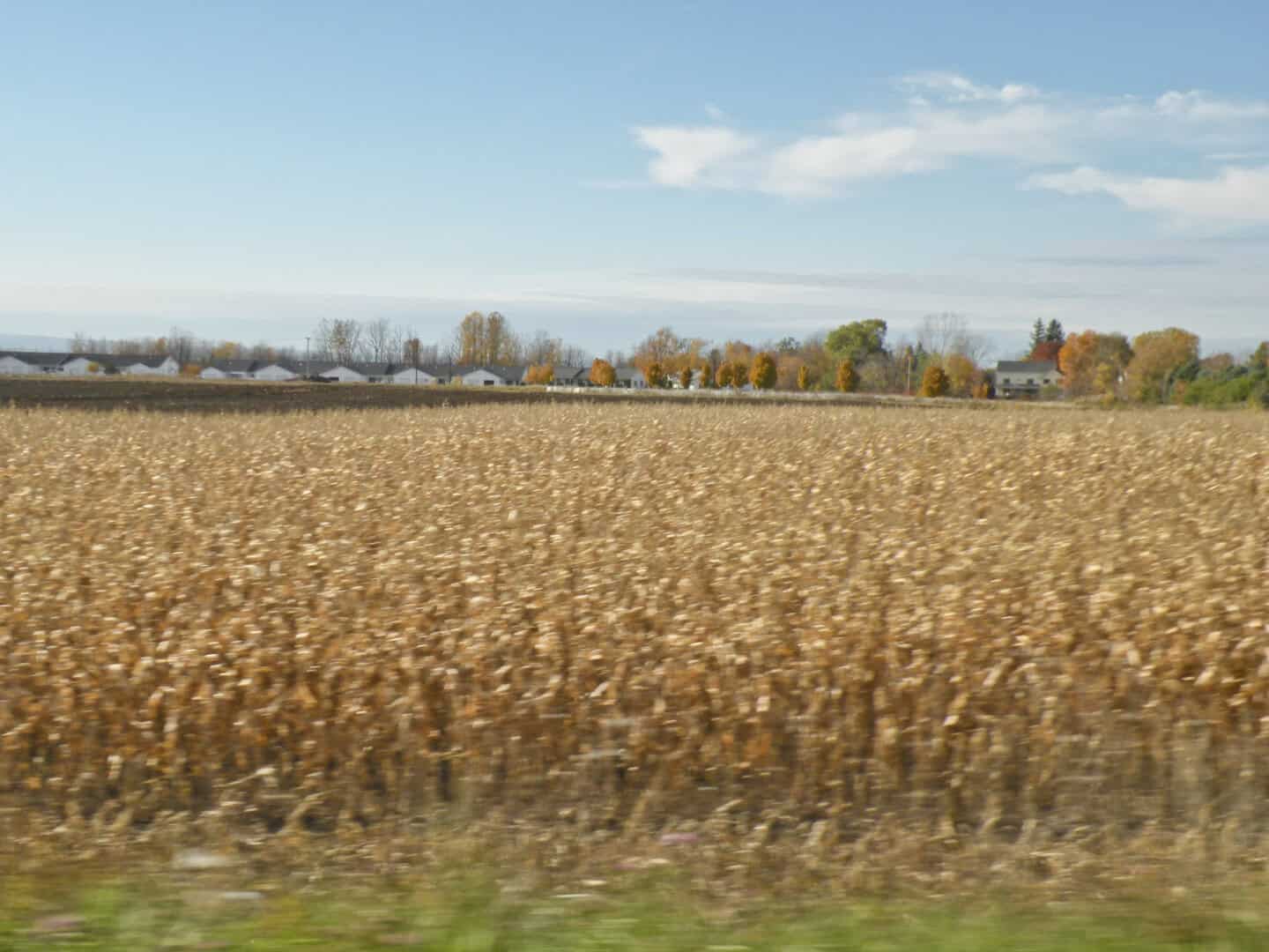Land