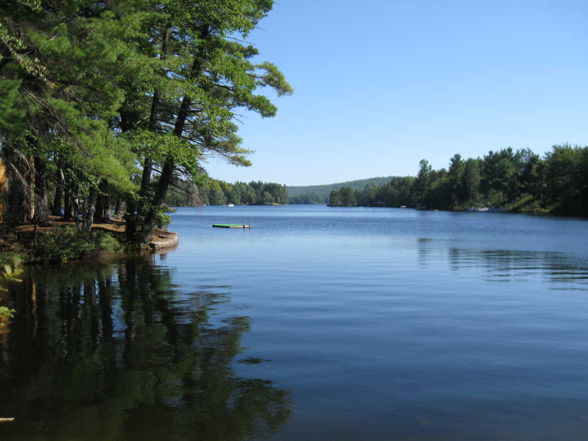 Pine River Pond Real Estate