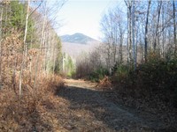 Non Sidebar Searches