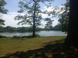 Greenwich Neighborhoods