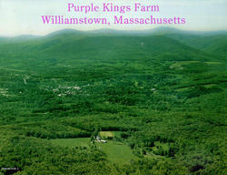 Williamstown MA Real Estate