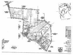 New Boston Searches