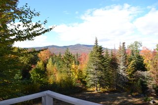 Search by Property Type