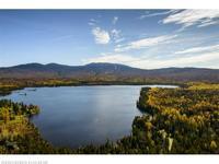 Saddleback Listings