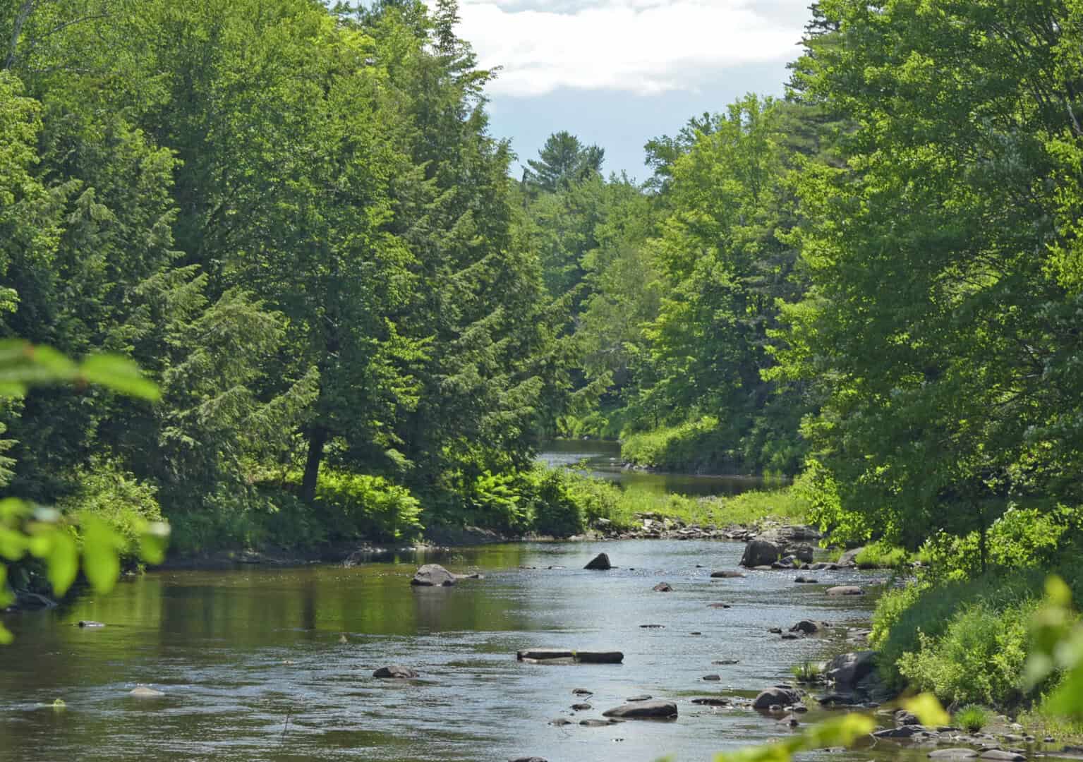 River and Live Water Properties