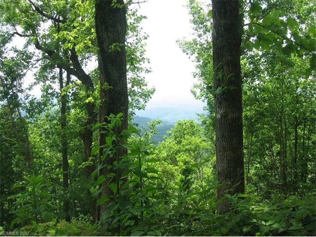 Listings for Adrian Boone