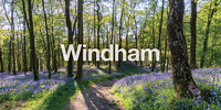 Windham
