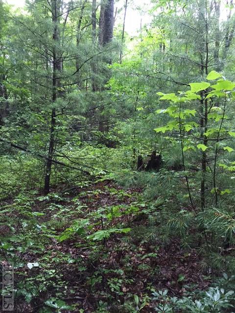 Land for Sale in Found Forest