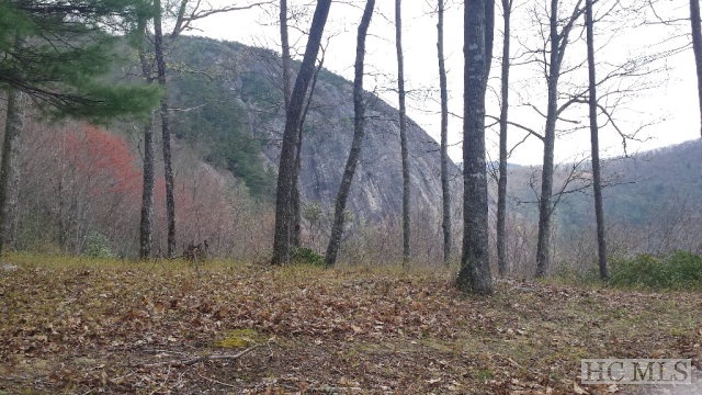 Land for Sale in High Hemlock