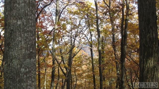 Land for Sale in Holly Berry Estates