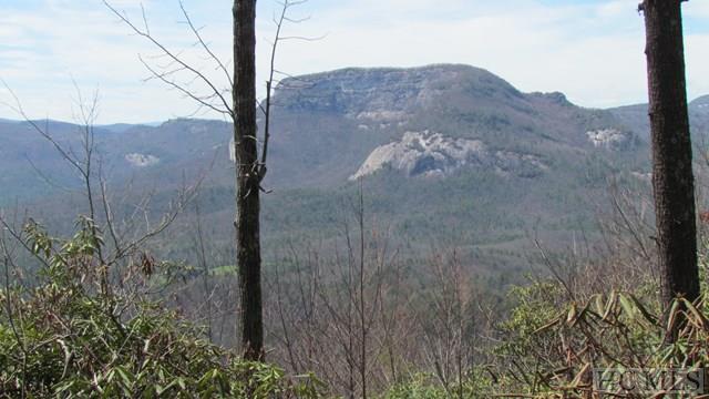 Land for Sale in Little Terrapin