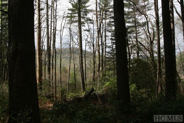 Land for Sale in Pine Forest