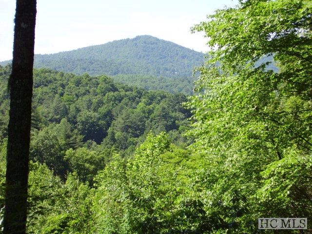 Land for Sale in Sapphire High
