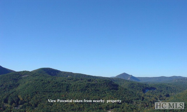 Land for Sale in Spring Forest