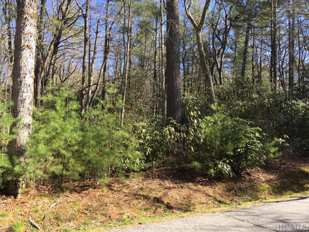 Land for Sale in High Hampton