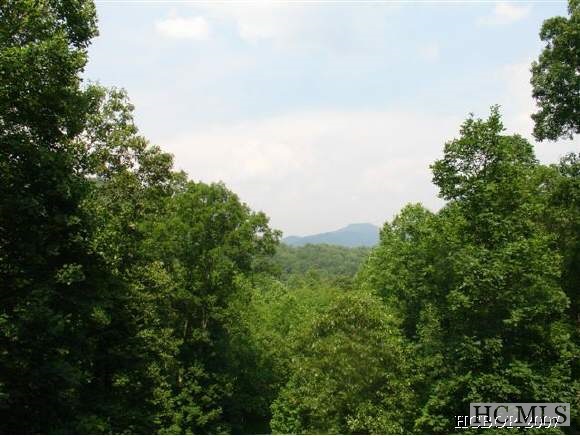 Land for Sale in Cullowhee Forest