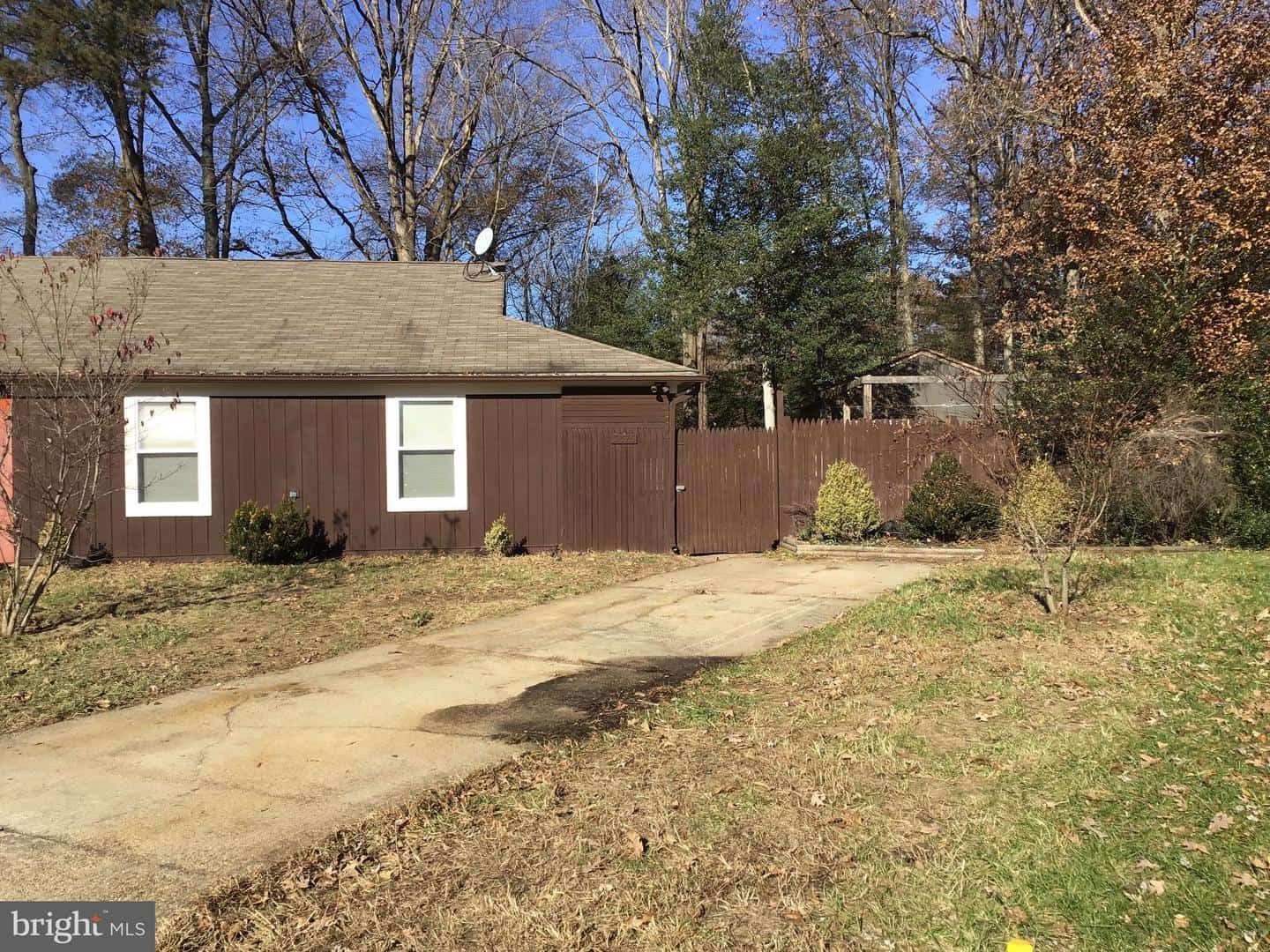 Listings for Frank Nesbit