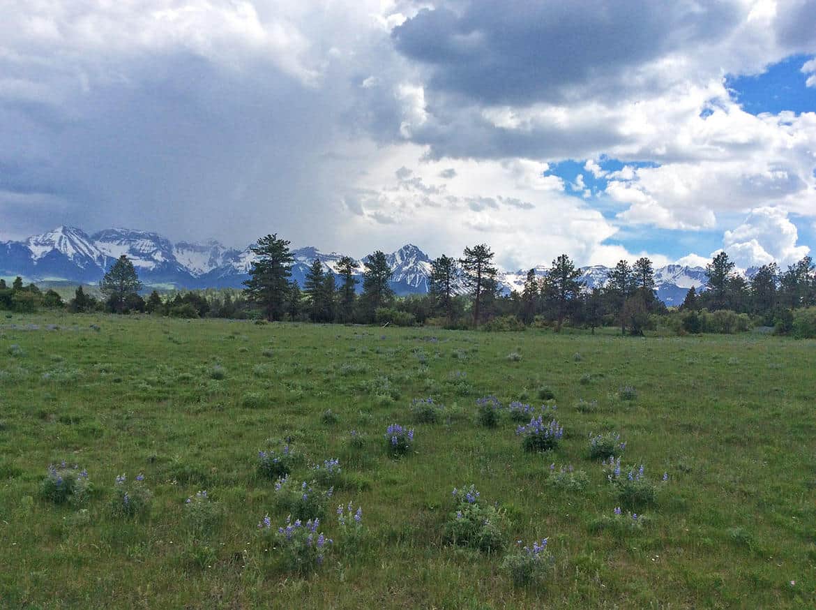 Ridgway