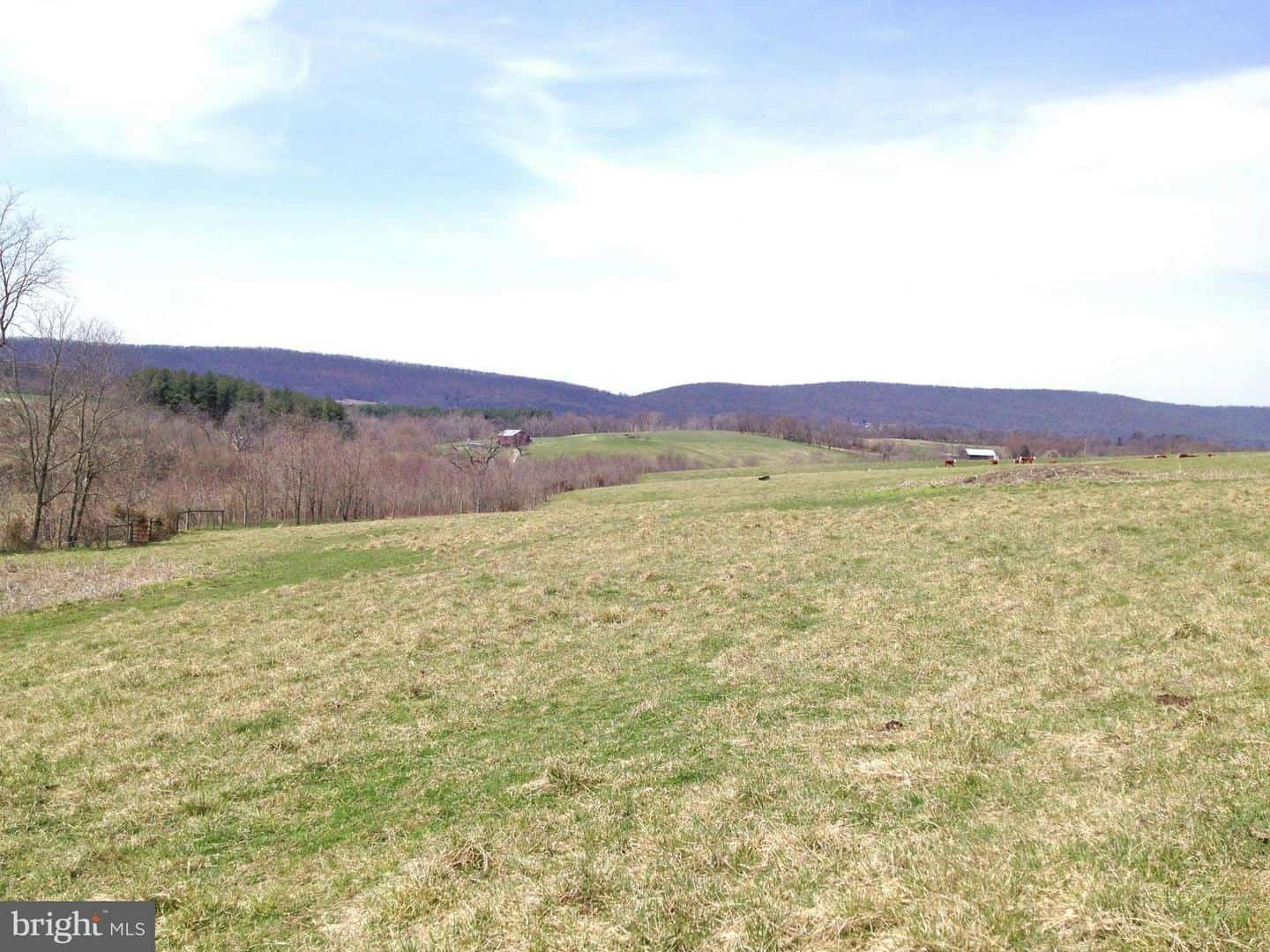 Jefferson Land for Sale