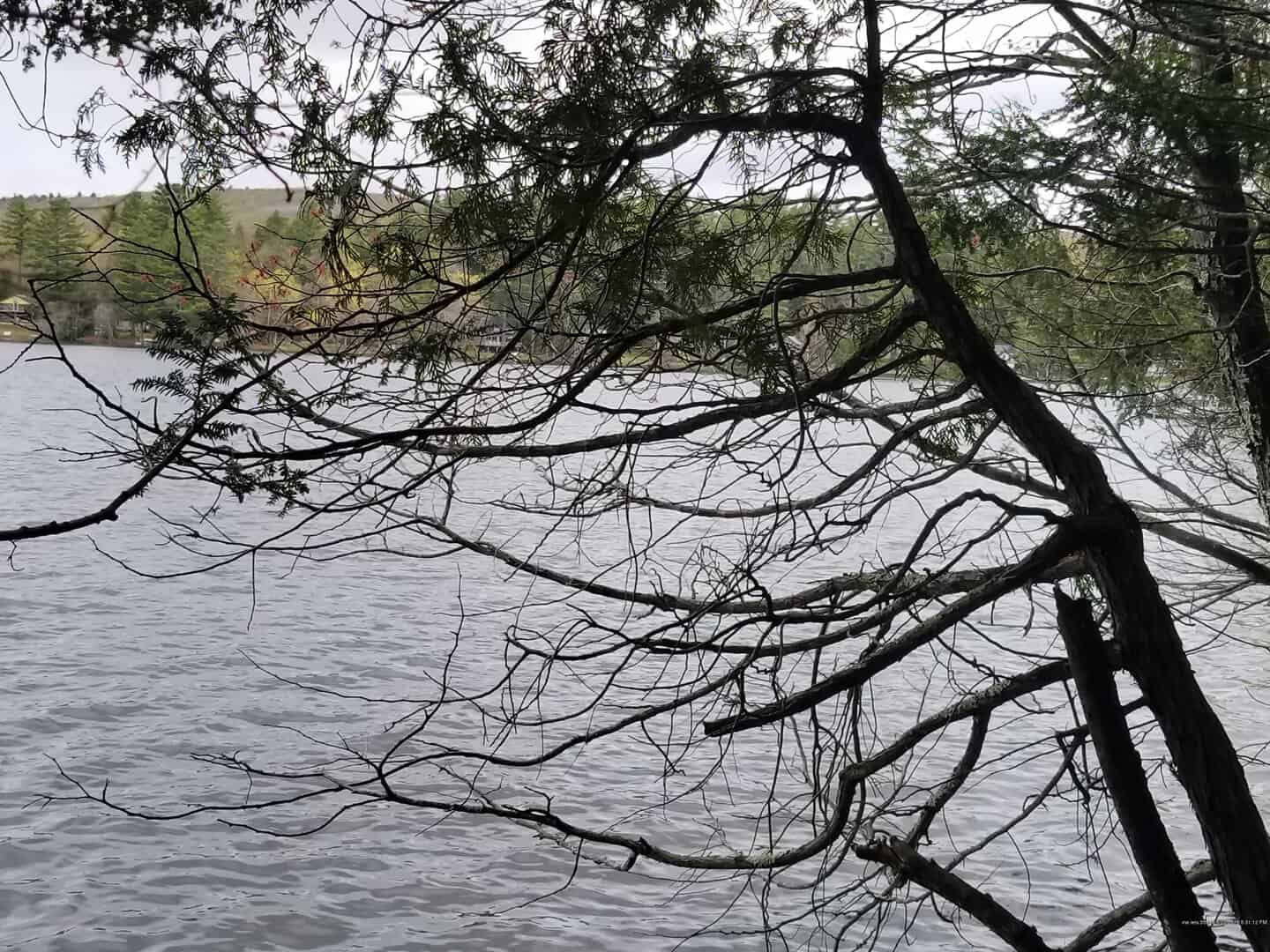 Oak Pond