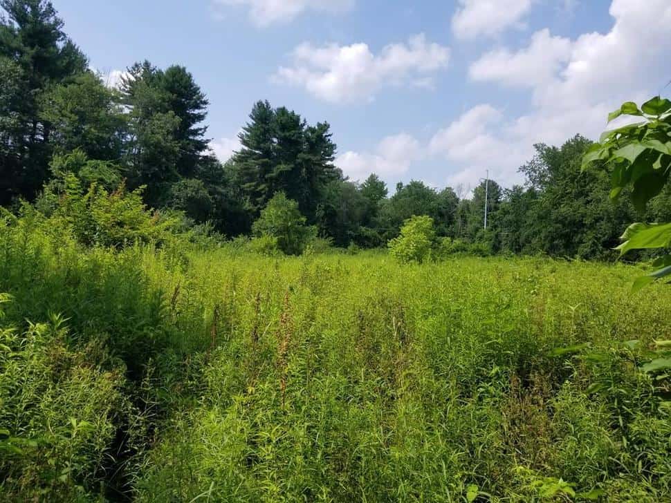 Billerica MA Real Estate