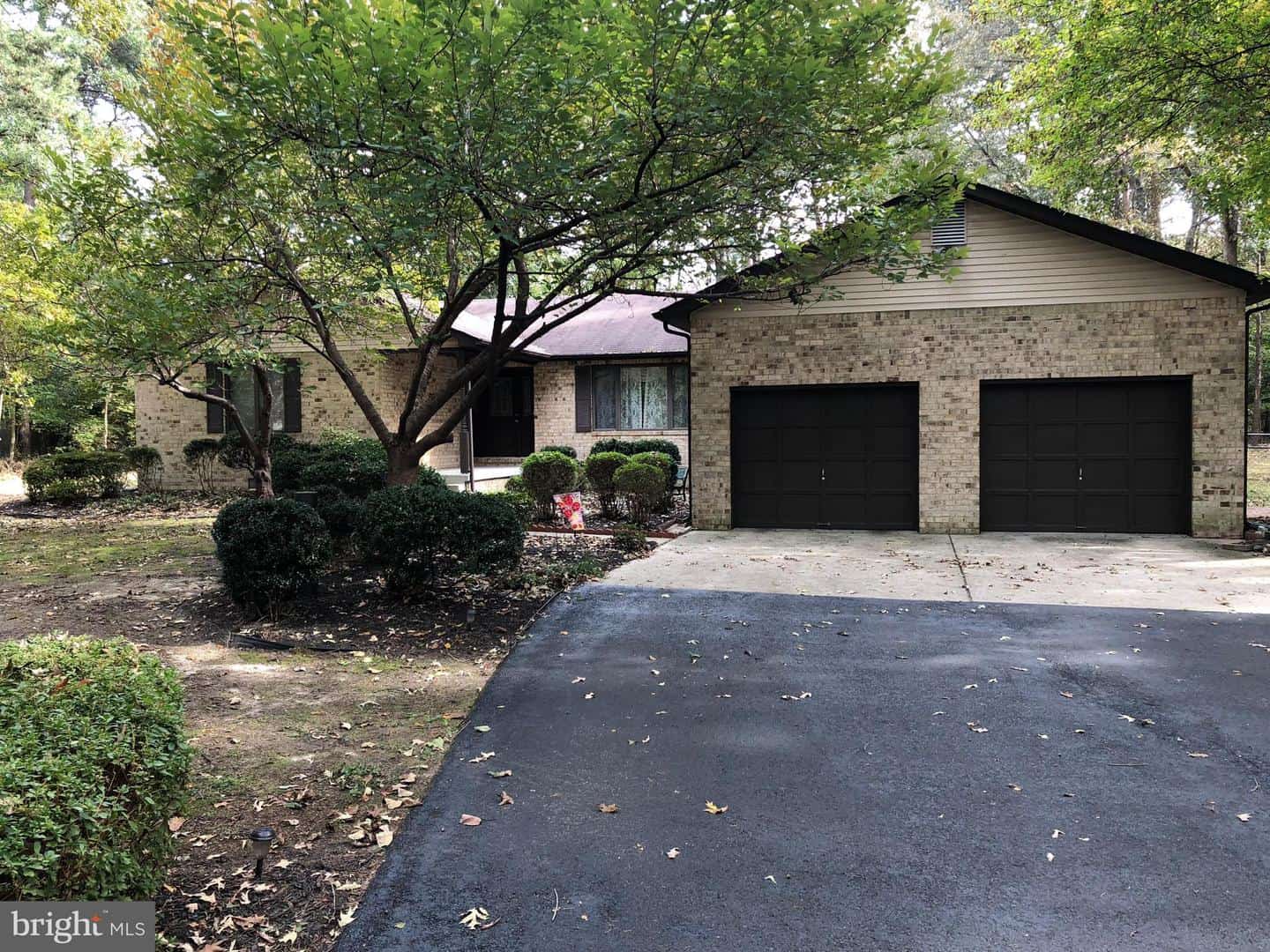 Listings for Steven Lowe