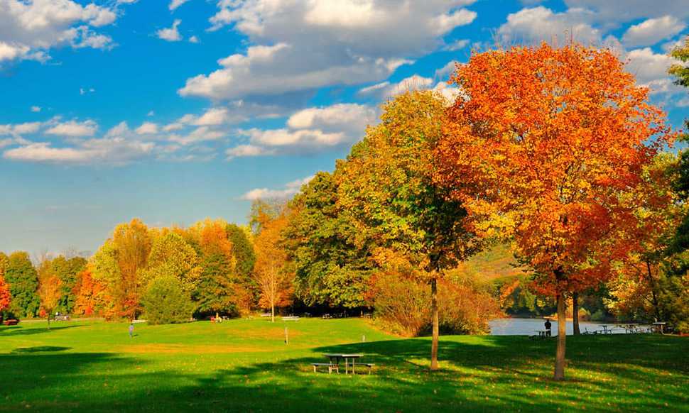 Loon Mountain Area