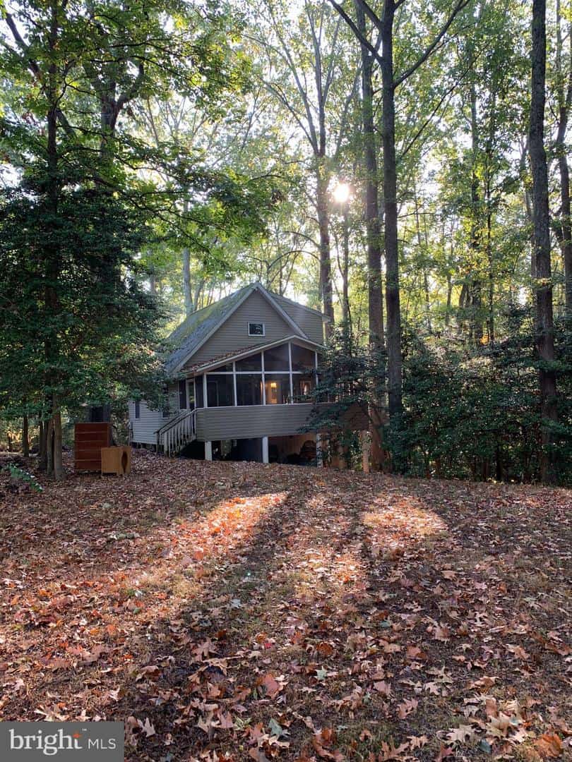 Listings for Tracy Mattingly