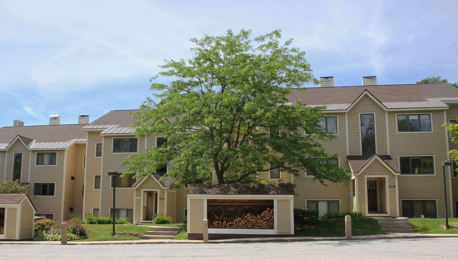 Summer Rentals