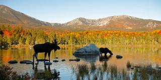 Aroostook County