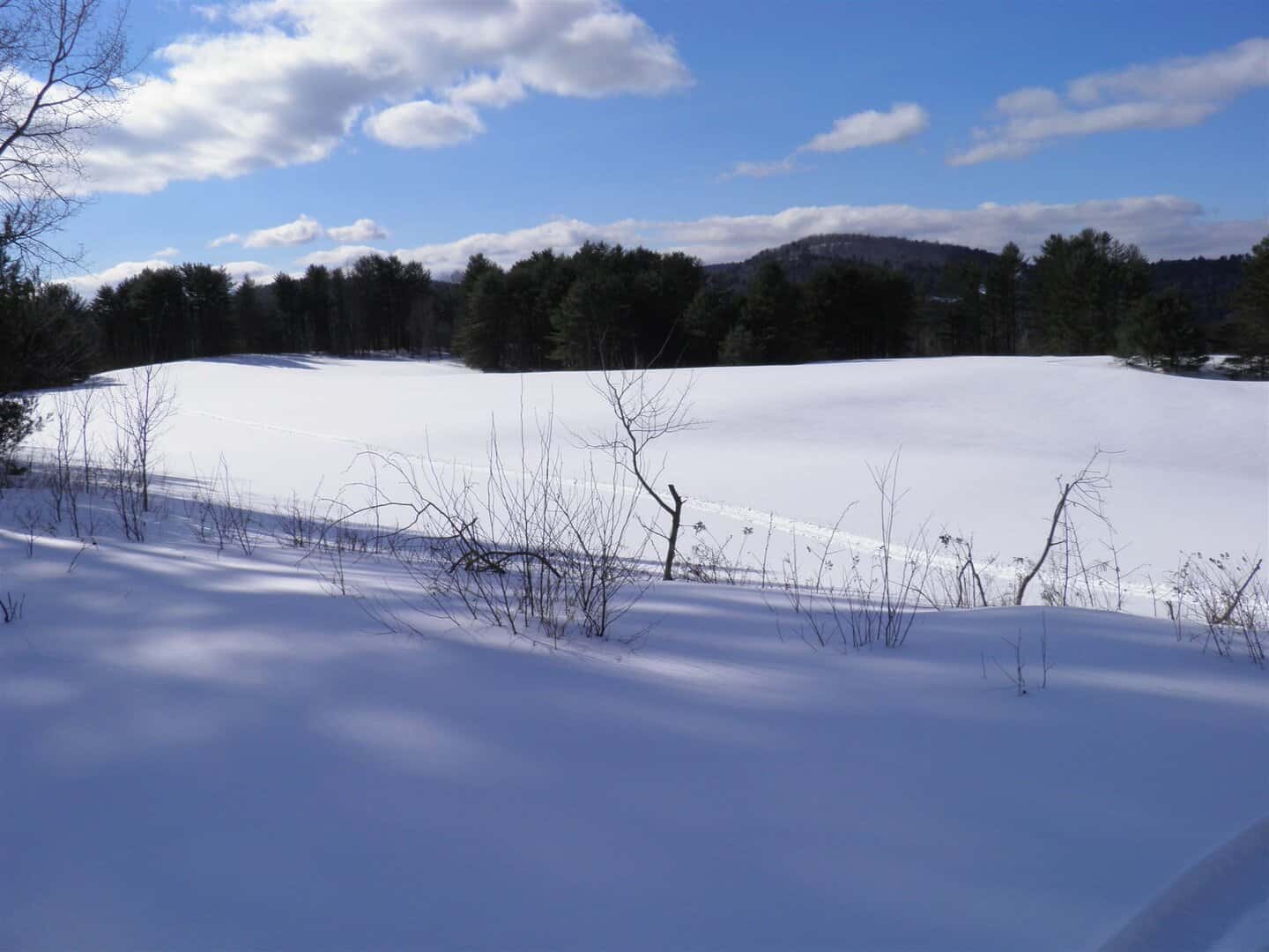 Homes with Virtual Tours