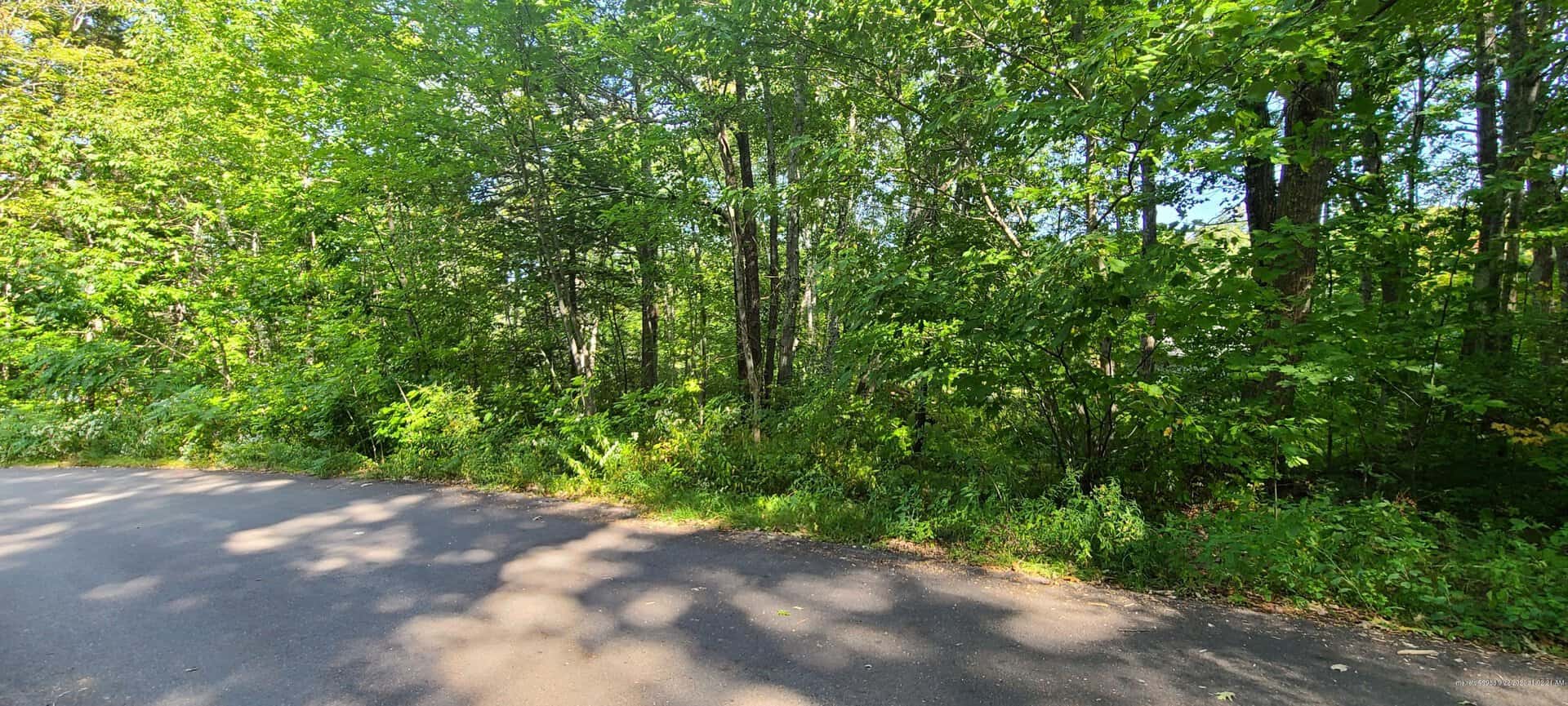 Listings for Cam Gagne