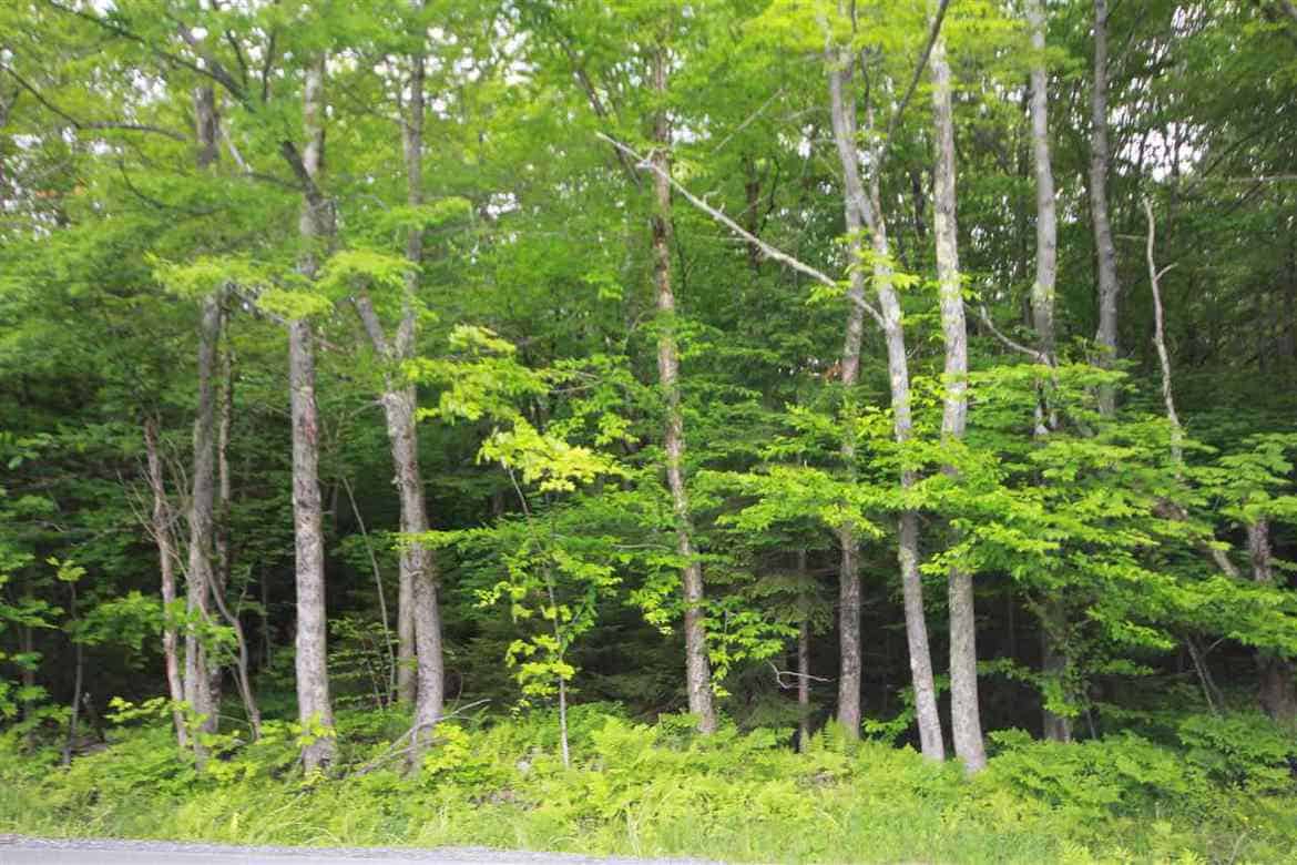 Southern VT Land