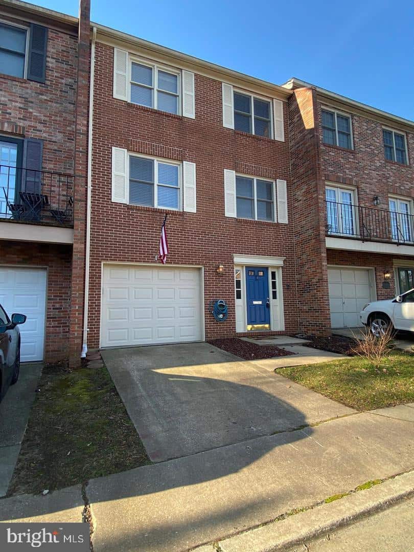 Listings for Pelin Basiliko