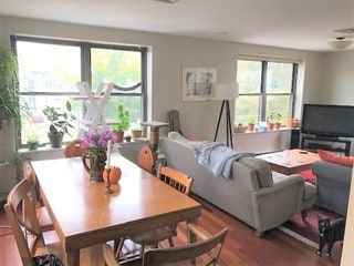 By Town Pet Friendly Rentals