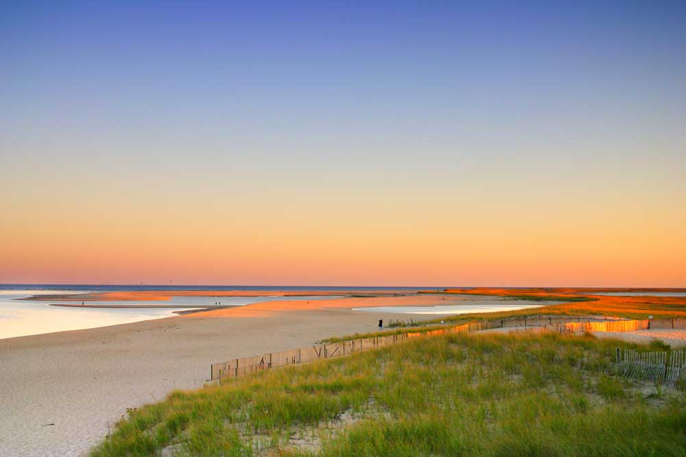 Cape Cod by Type