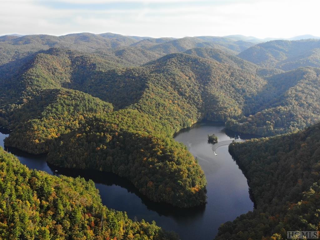 Homes & Land Adjoining the National Forest