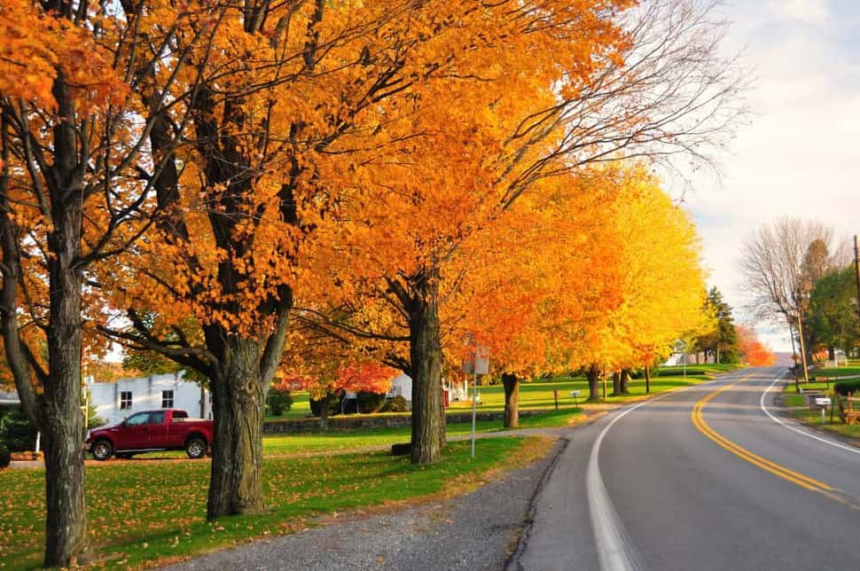 Chittenden County