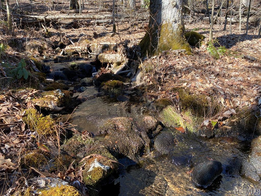 Cashiers Land