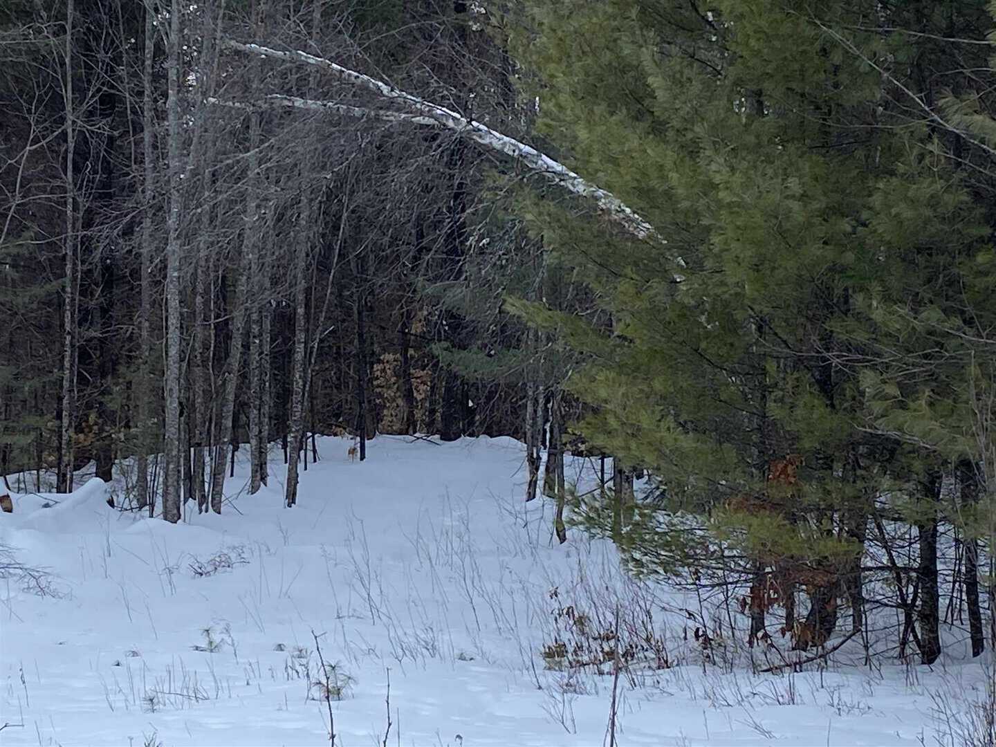 Holderness NH Land for Sale
