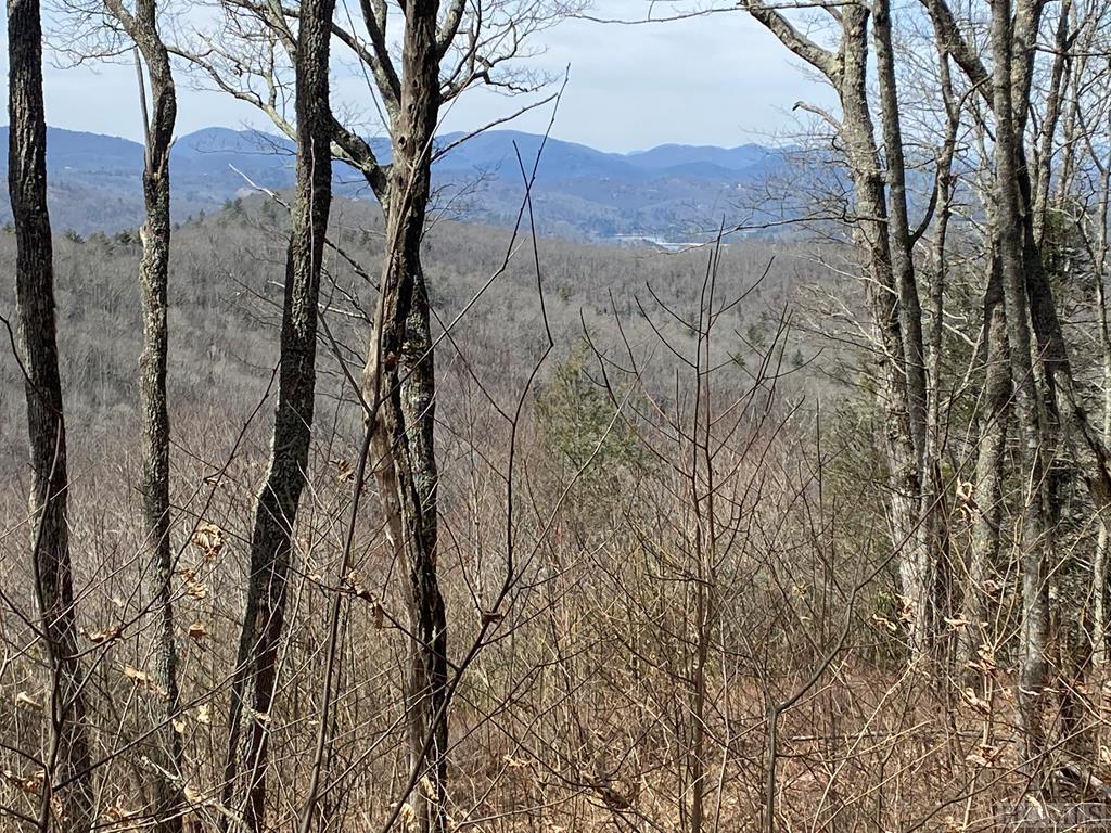 Land for Sale in Pinnacle Ridge