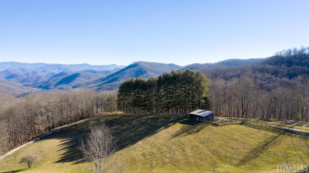 Homes with Wooded Views