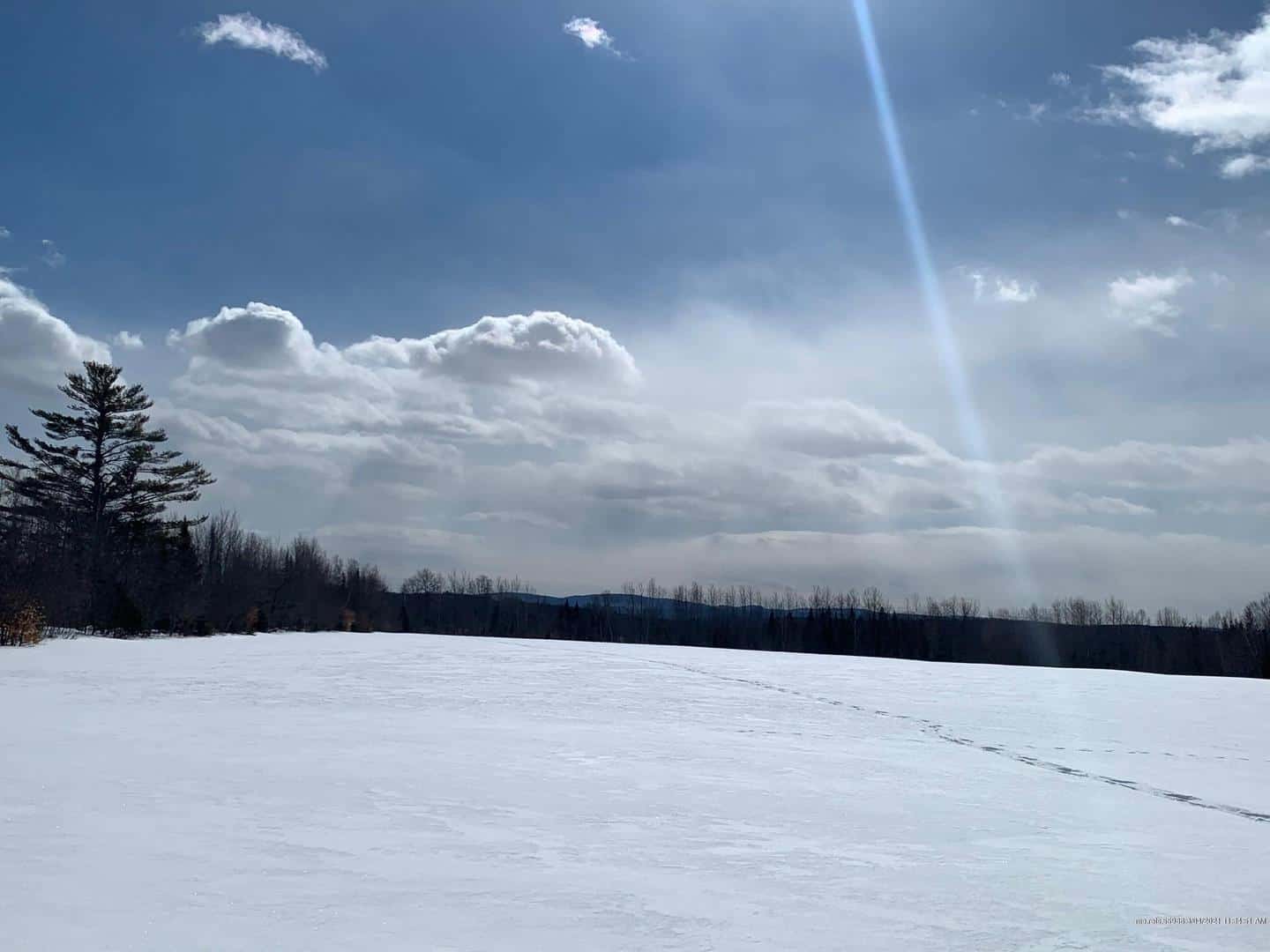 Listings for Cody Haynes