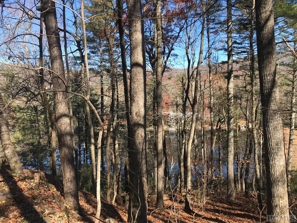 Land for Sale in Hogback Lake
