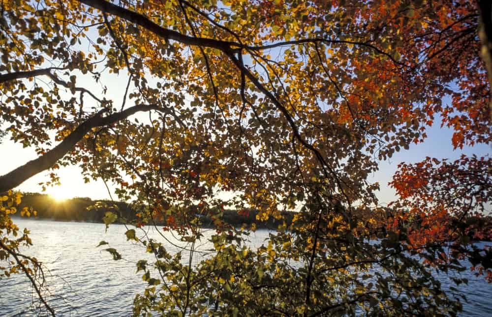 Oakland Maine Real Estate